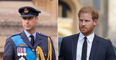prince william harry pp