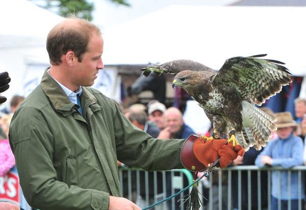 Prince William Handles A Falcon