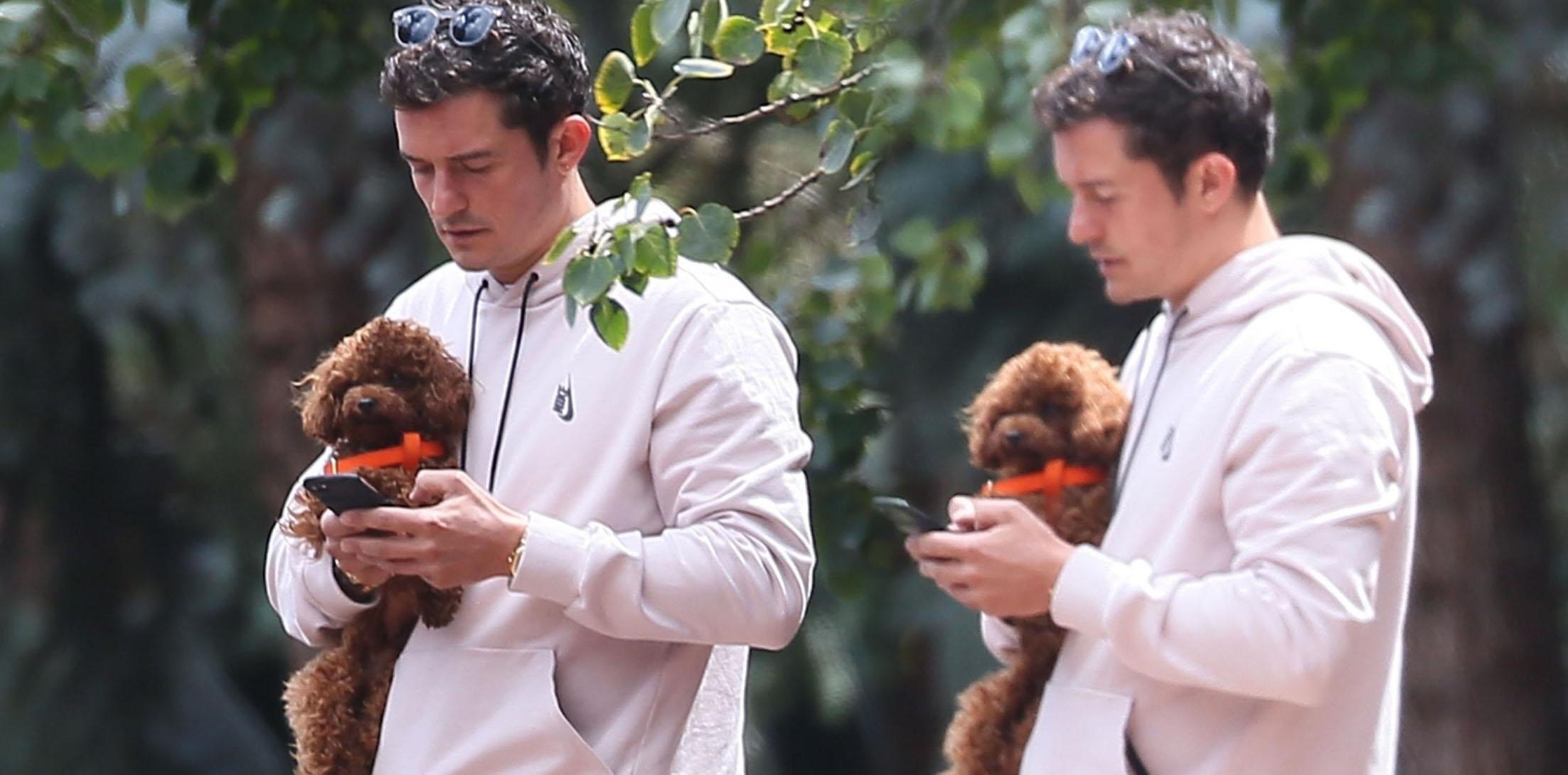 Orlando bloom puppy