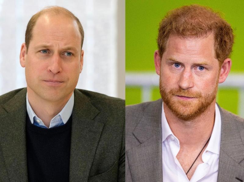 Prince William 'Has Made No Effort To Speak To' Harry After 'Spare' Debut, But 'Wants To Move On': Source