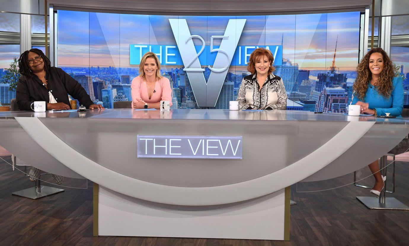 joy the view abc pic