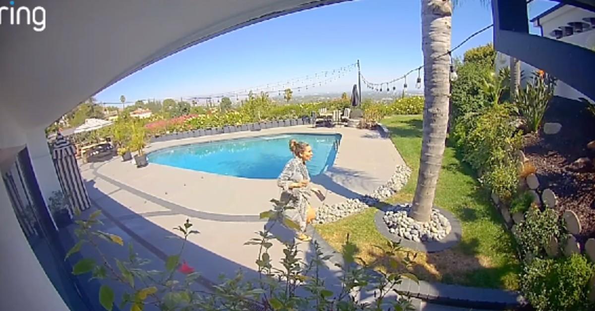 tommy lee brittany furlan dog taken by coyotee ring camera footage