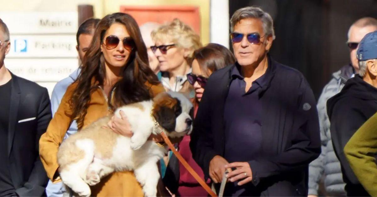 image of The pair live on a farm in the South of France.