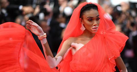 winnie-harlow-cannes-pp