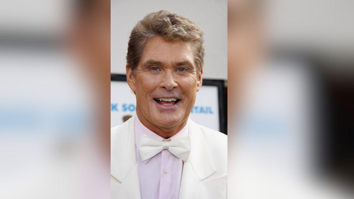 Image of David Hasselhoff openly spoke about struggles with alcoholism.