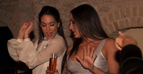 Bella twins 30th birthday
