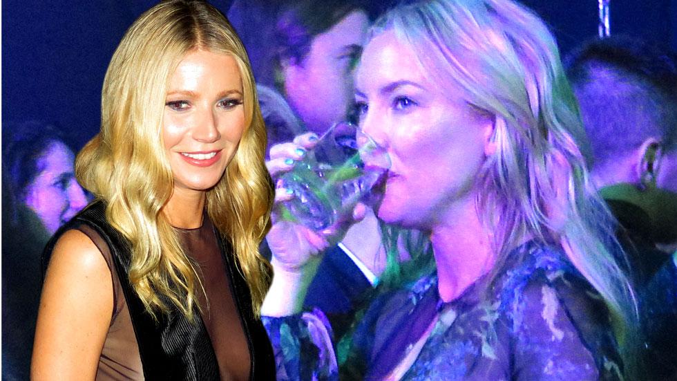 Kate hudson gwyneth paltrow drink bond over rocker exes