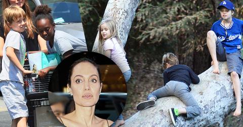 Angelina jolie divorce brad pitt kids shiloh park uncle james haven ok long