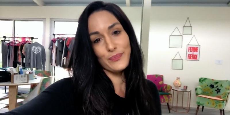 nikki bella video split from john cena pp