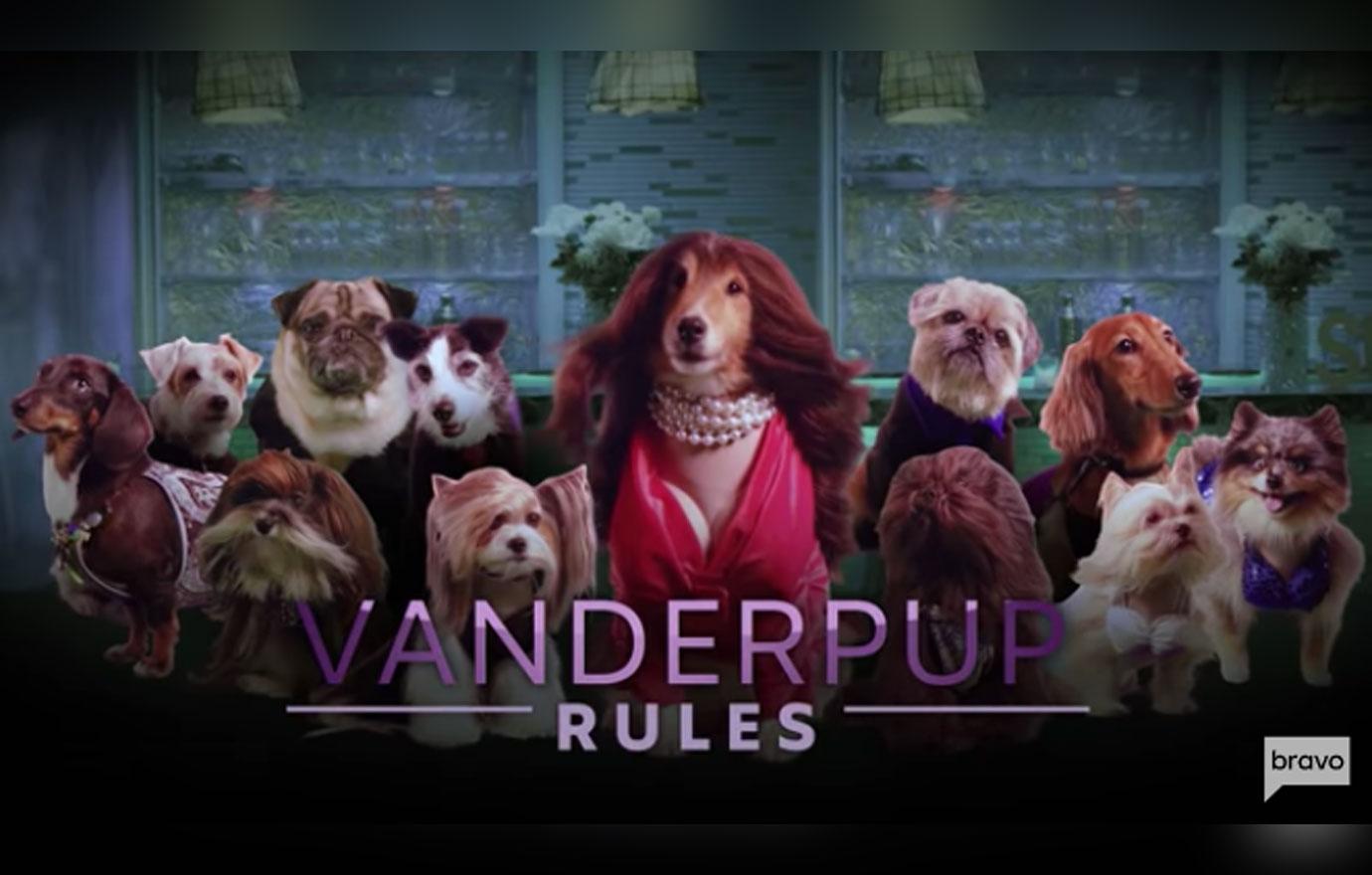 Vanderpump Rules Dog 5