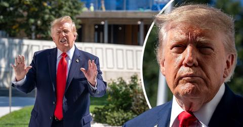 Image of Donald Trump