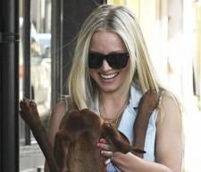 2009__10__main_h6 225×192.jpg