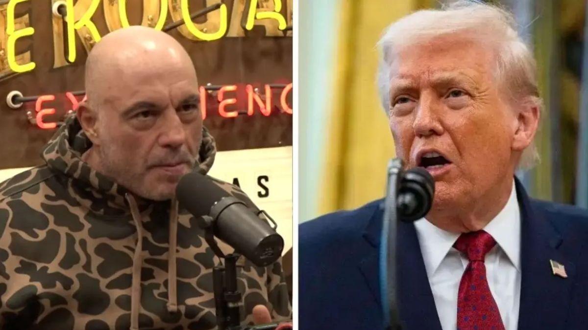 Joe Rogan Accuses Donald Trump Of Drawing Attention From Epstein Files