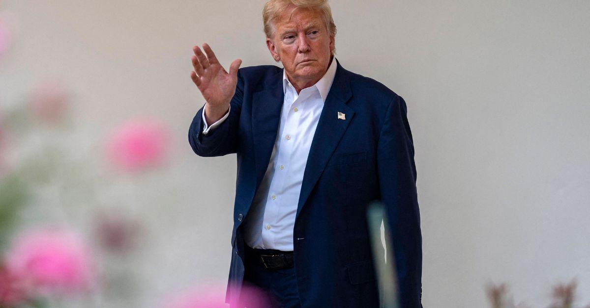 photo of Critics questioned if the president 'lost his mind' after he delivered the 'bizarre' speech about grass