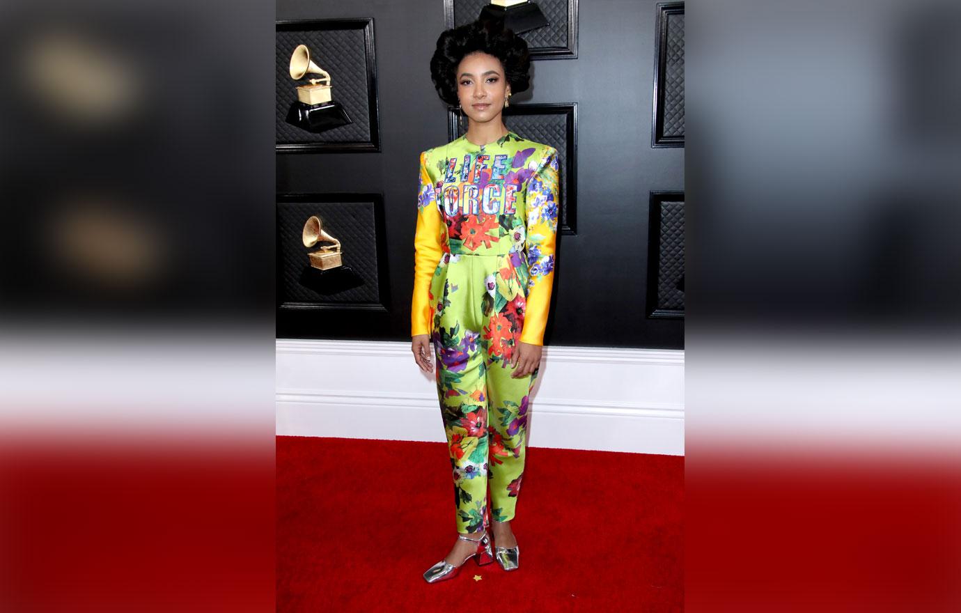 Grammy Awards 2020 Celebrity Red Carpet Arrival Photos Looks