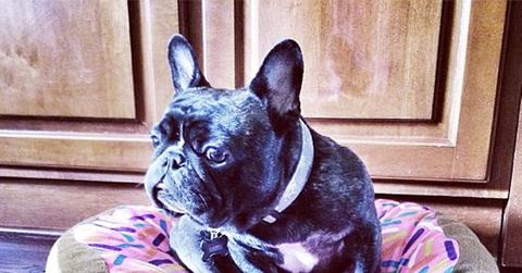 Dwayne %22The Rock%22 Johnson