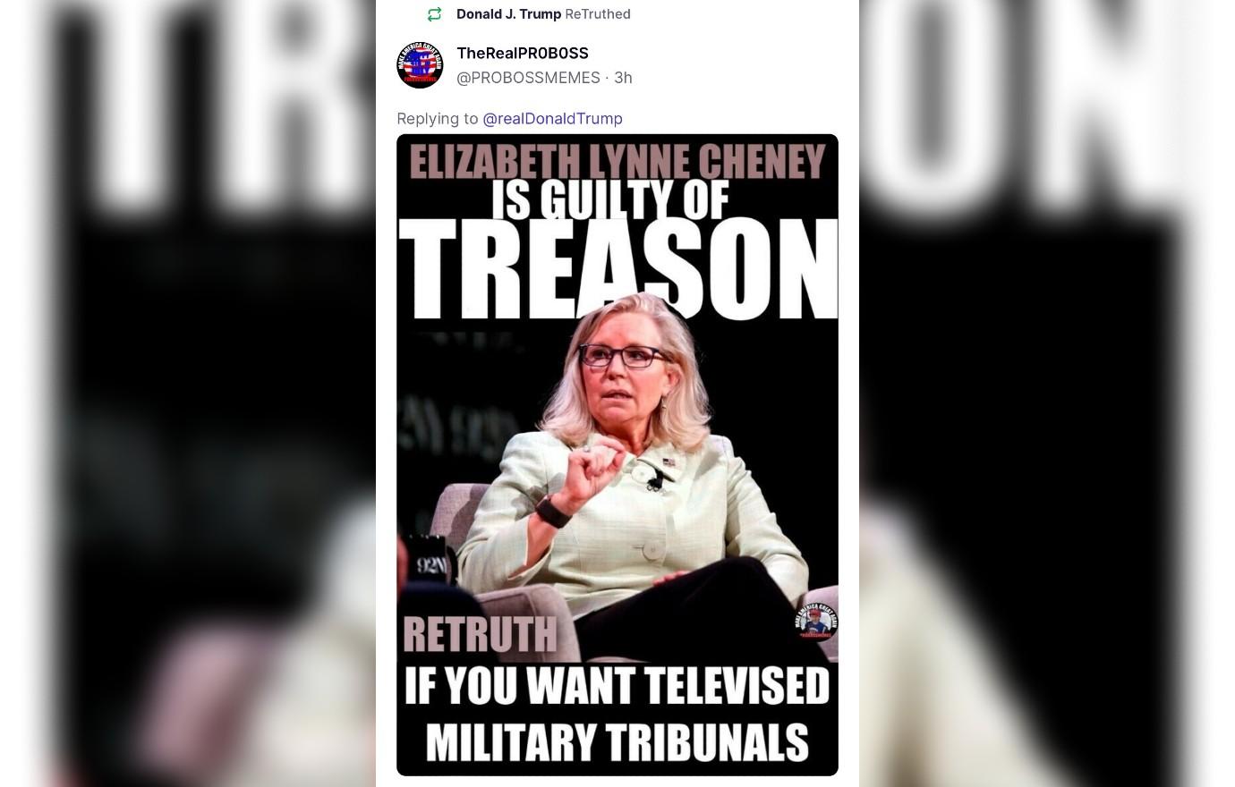 liz cheney declares donald trump not stable adult treason