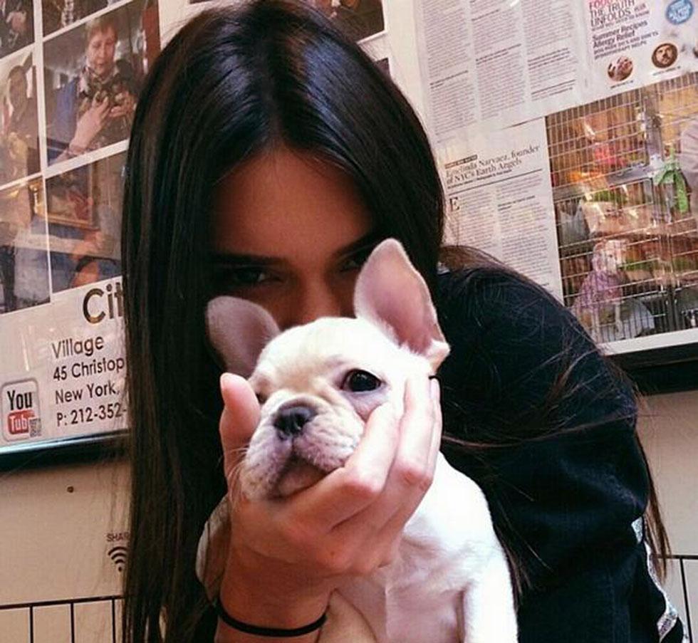 Hailey Baldwin, Kendall Jenner and Jaden Smith shop for $2,500 puppies.