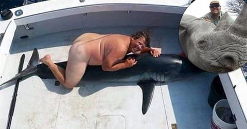 Jimmy johns founder denies posing naked shark 01