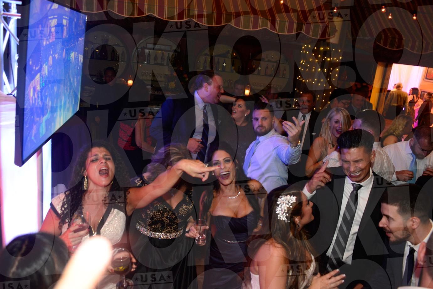 Deena Cortese Wedding Reception Party Pics 09