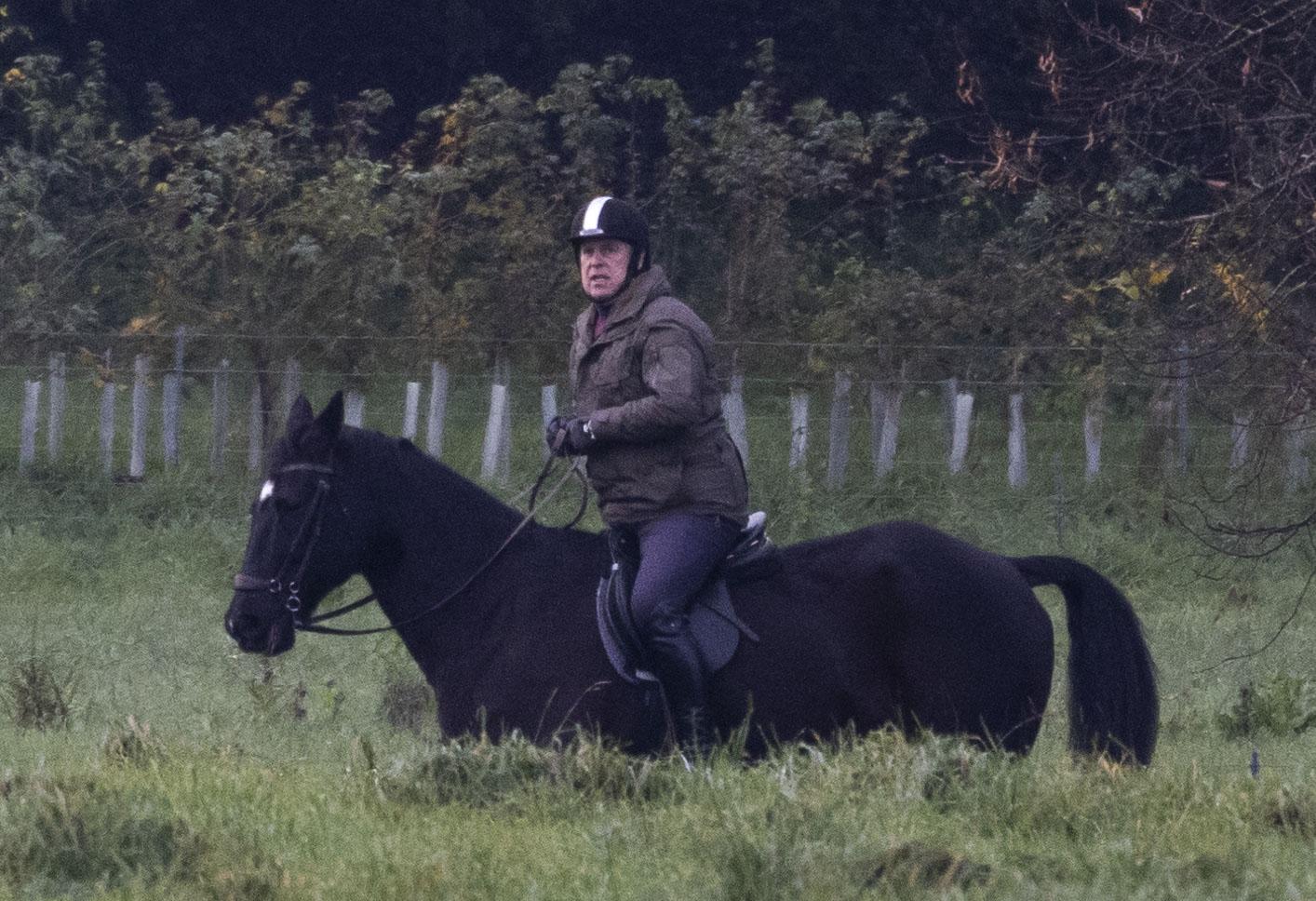 prince andrew riding horse news licensing