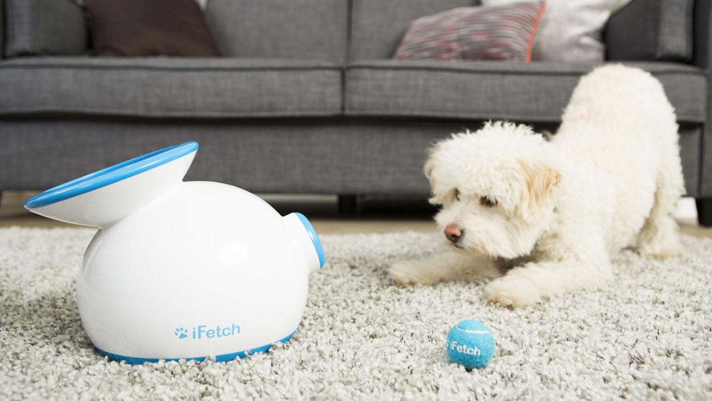 Ifetch automatic ball launcher