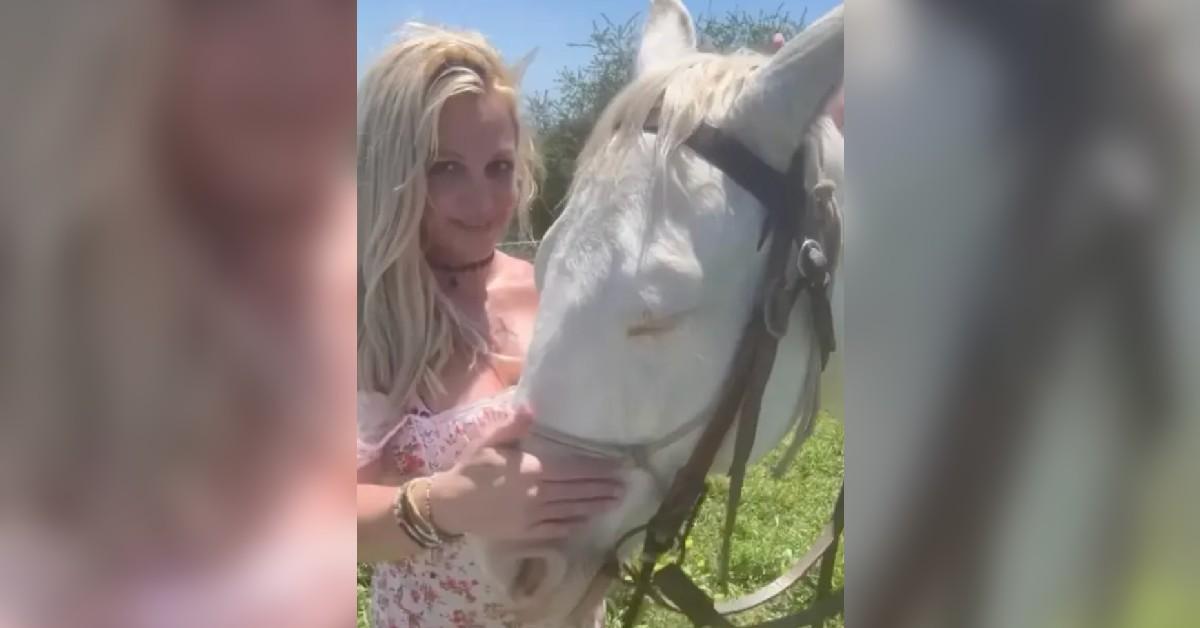 britney spears therapy concern well being working horses peace