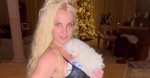 britney spears negelcting taking care dogs vet emergency