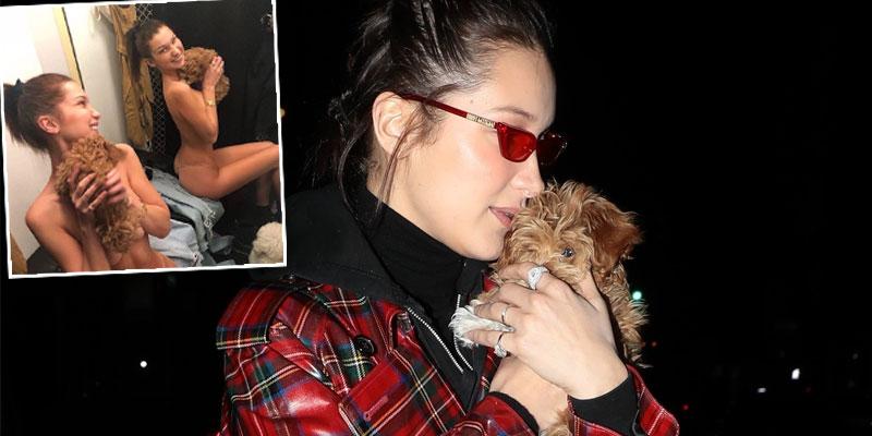 Bella hadid poses naked puppy ok pp