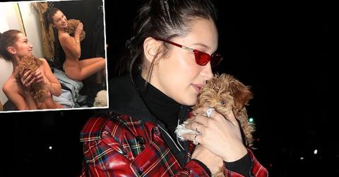 Bella hadid poses naked puppy ok pp