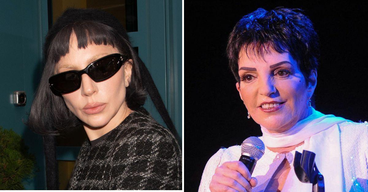 image of Liza Minelli described feeling frustrated during the moment.