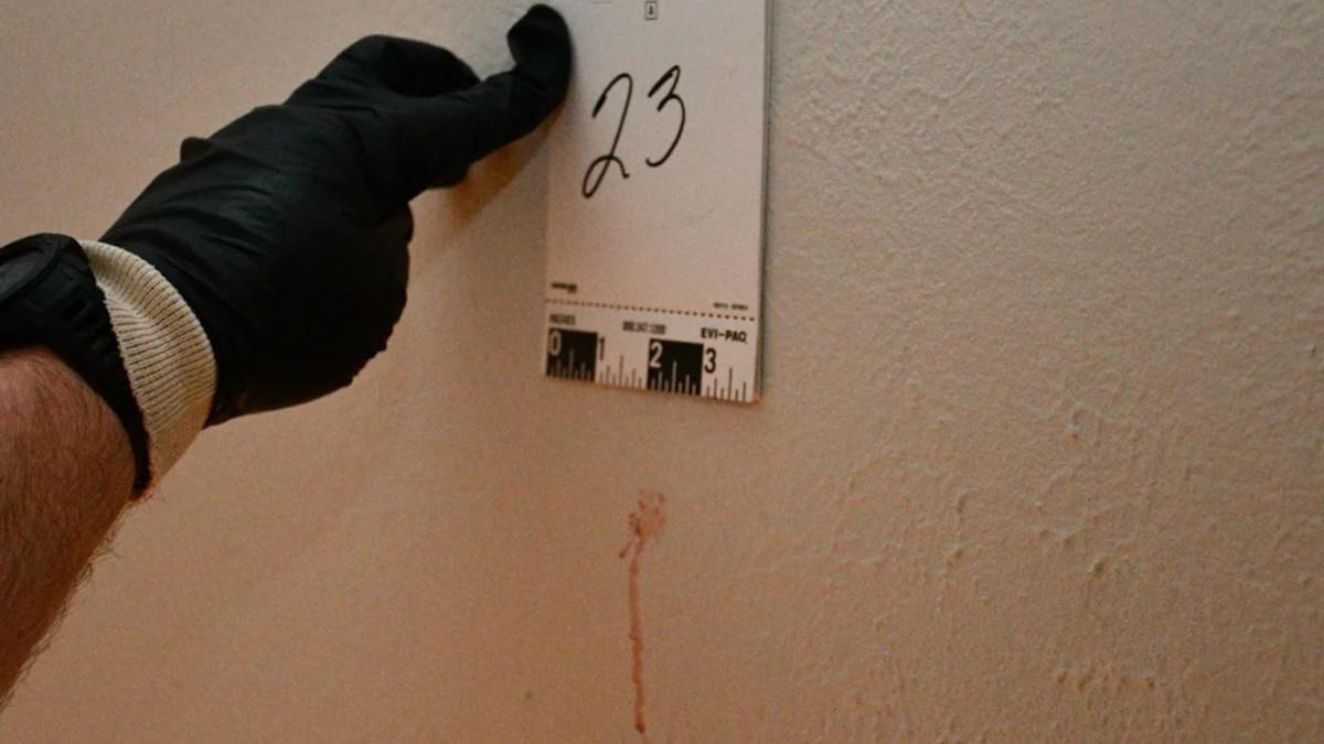 image of 'Because of him, four beautiful, genuine, compassionate people were taken from this world,' she said.