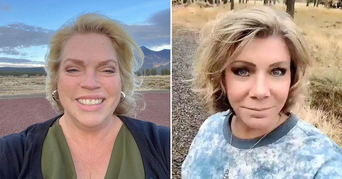 Sister Wives' Janelle & Meri Brown Clash Over Boundaries