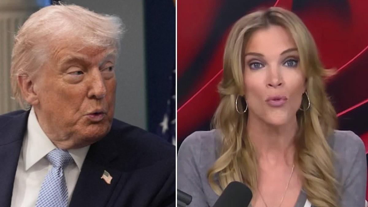 split of Megyn Kelly, Donald Trump. 