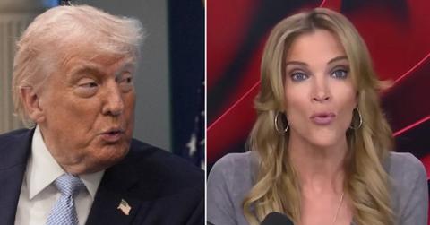 split of Megyn Kelly, Donald Trump.