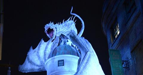 The Wizarding World of Harry Potter Diagon Alley Red Carpet Arrivals