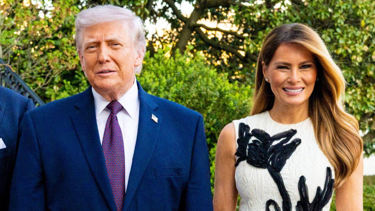 Image of Hunter Biden claimed Jeffrey Epstein introduced Donald Trump and his wife, Melania.