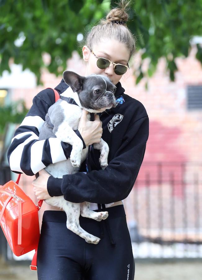 Gigi Hadid takes her French Bulldog to the park in NYC