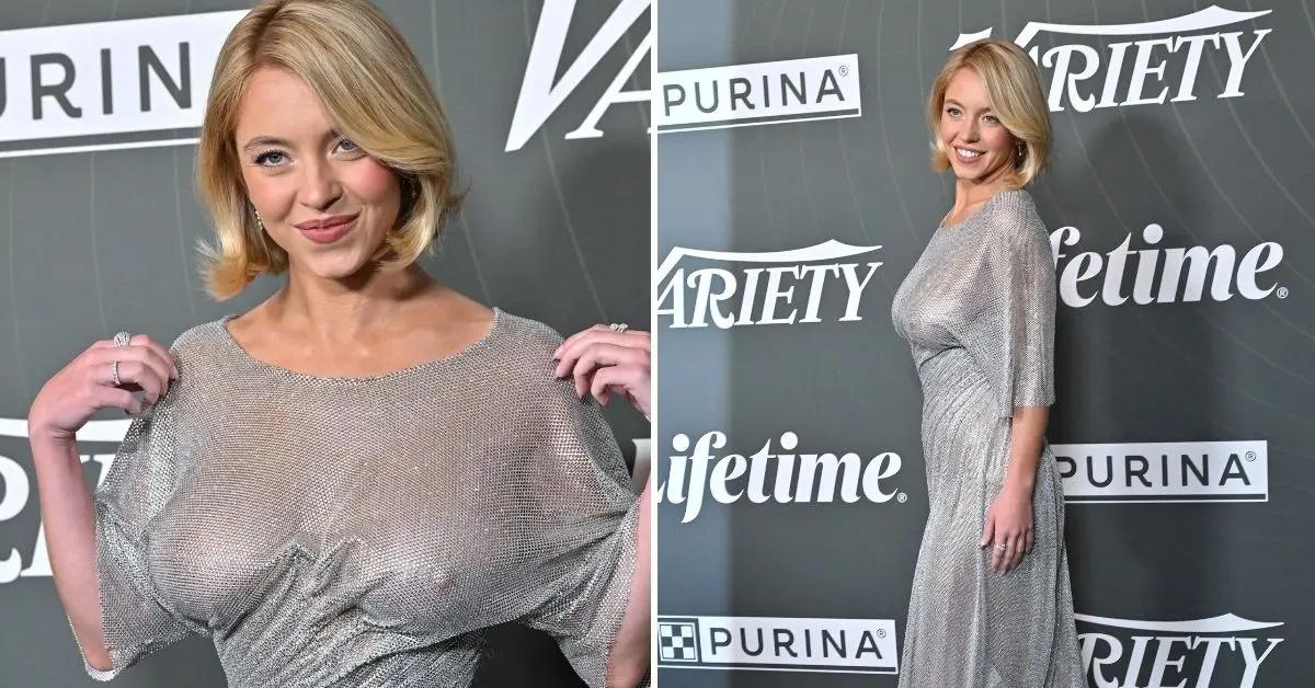 Photo of The blonde beauty went braless in a sheer gown for the October 29 'Variety' Power of Women event.