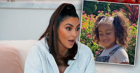 Kim Kardashian Freaks Out When North Wants A Spider
