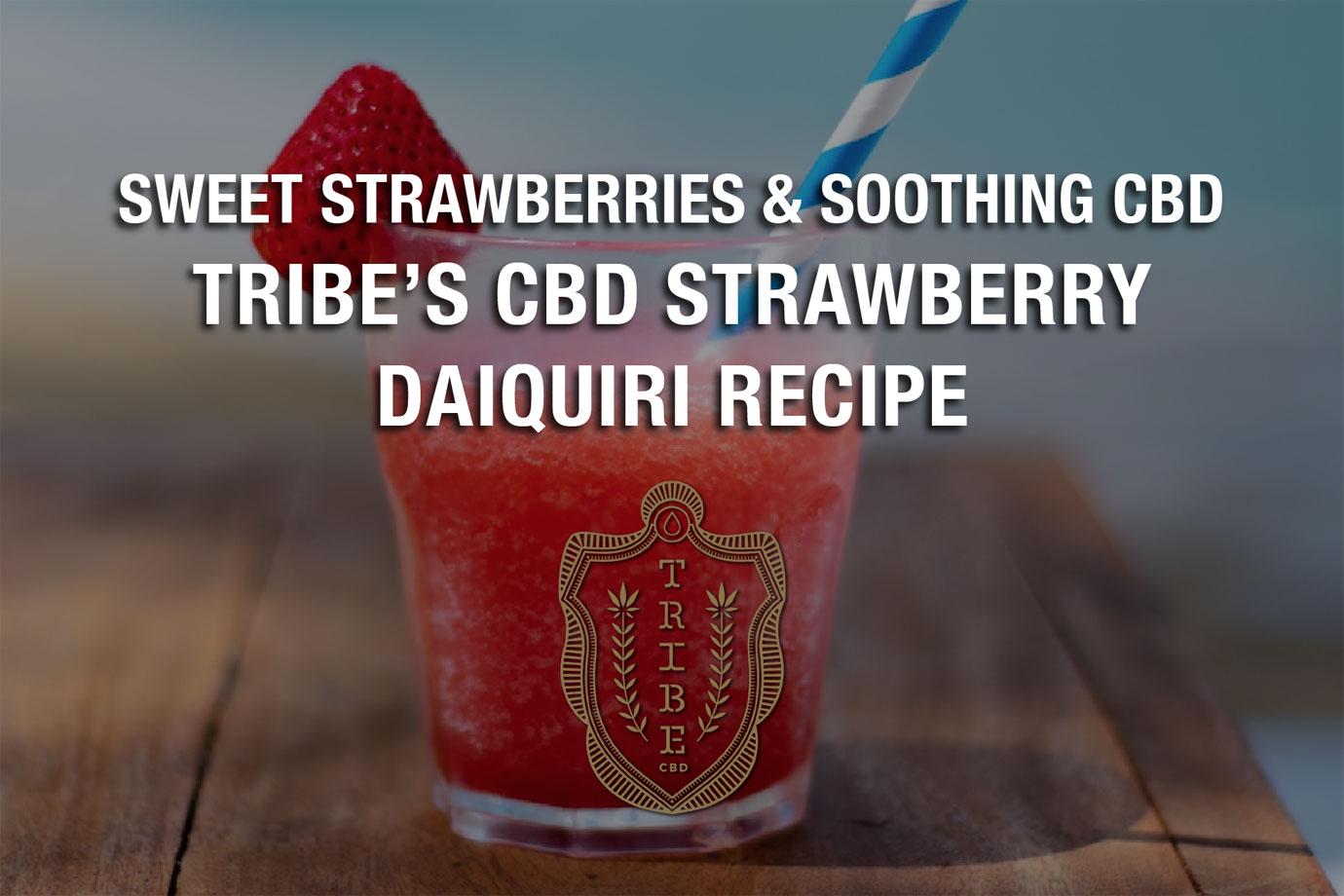 sweet strawberries and soothing cbd tribes cbd strawberry daiquiri recipe