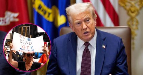 Composite Photo of Donald Trump and a Protester