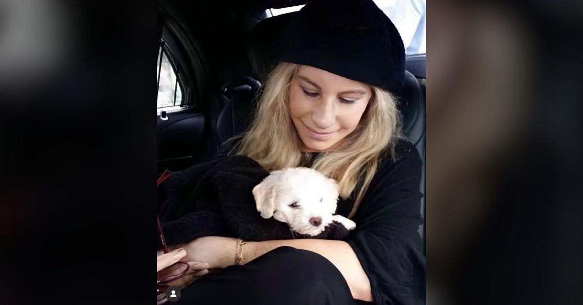 Photo of Barbra Streisand