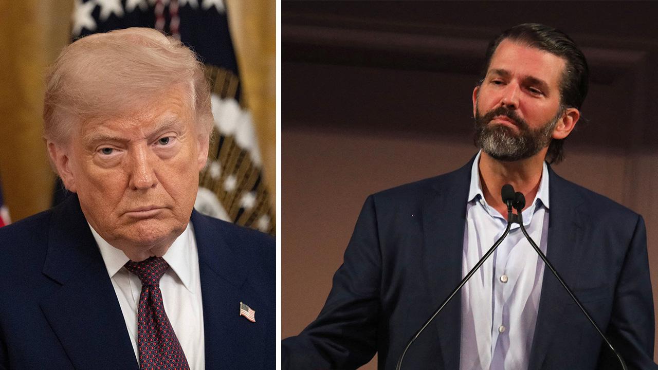 Image of  Don Jr. has kept his views private beause he'd never publicly break with his father.