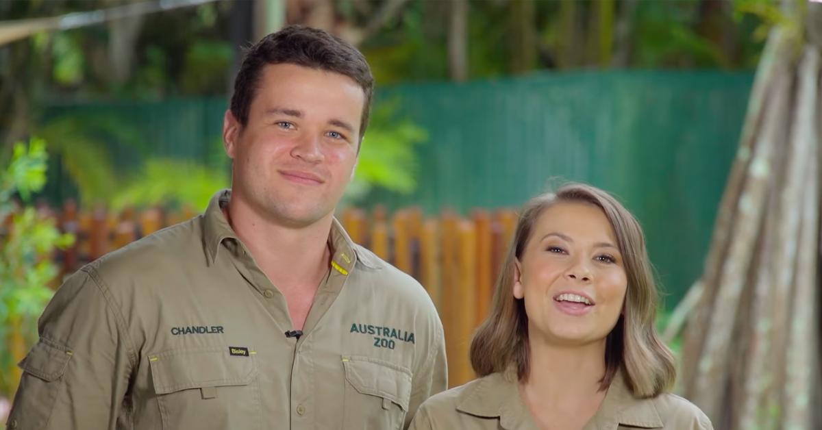 bindi irwin celebrates milestone australia zoo recovering endometriosis surgery pp