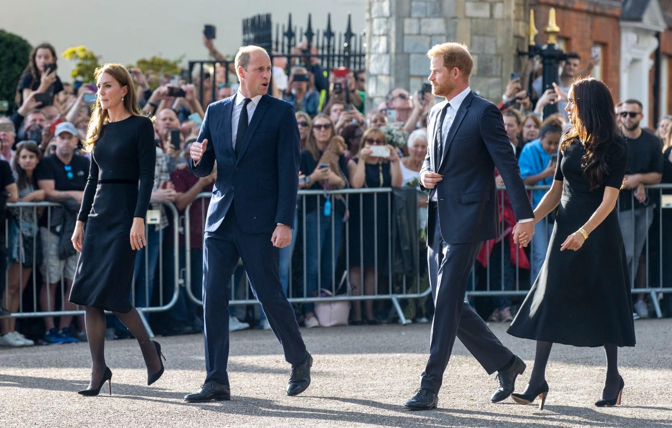 prince harry feels prince william doesnt resemble princess diana