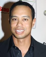 2009__12__wenn_tiger34 181×225.jpg