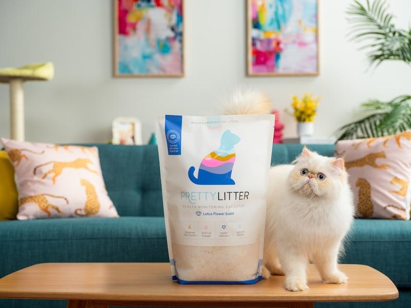 copy of pretty litterphotor