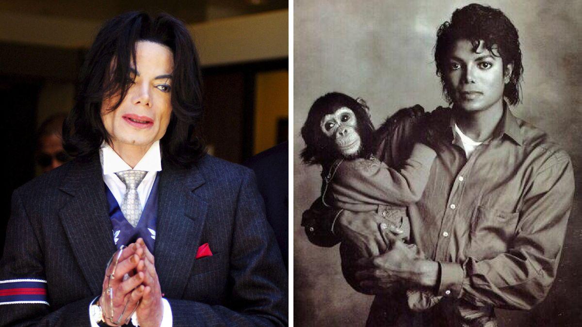 michael jackson bubbles chimpanzee relationship everything to know