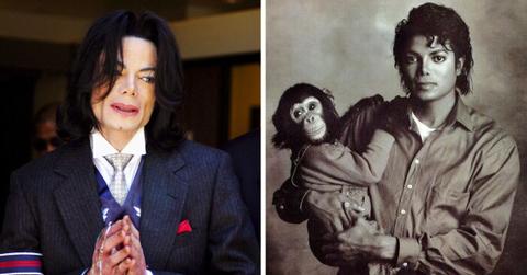michael jackson bubbles chimpanzee relationship everything to know
